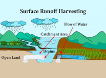 Surface Runoff Harvesting